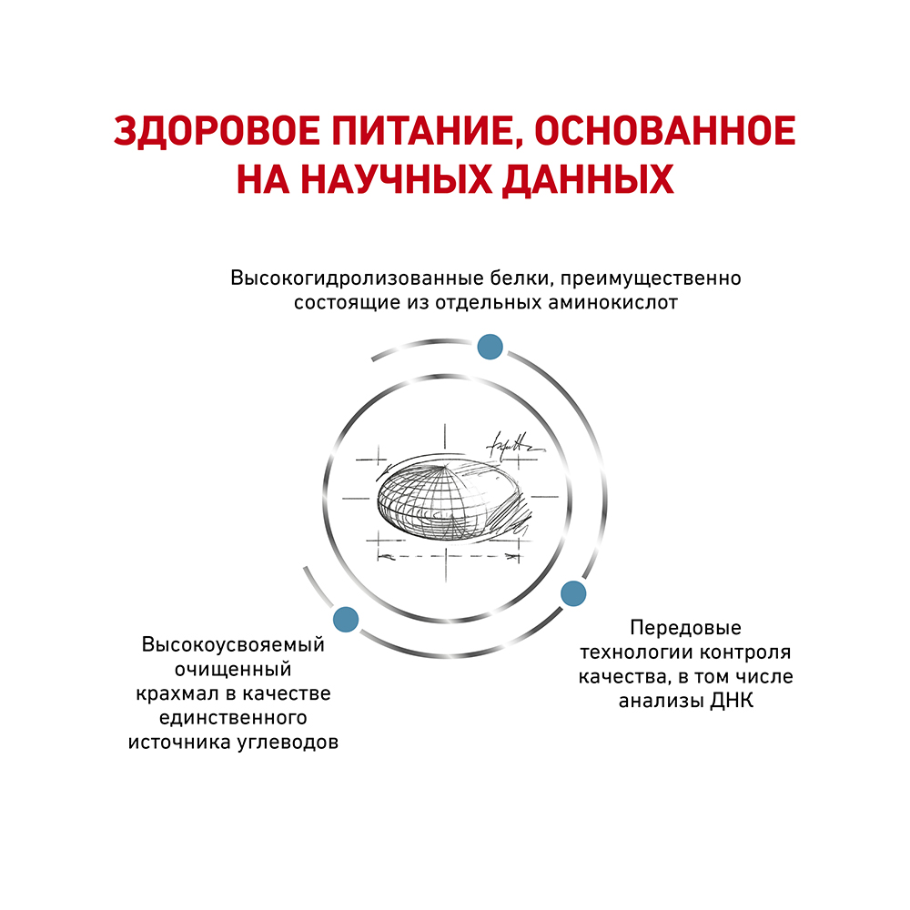 ПР0018794 Корм для собак Vet Diet Anallergenic AN18 при пищевой аллергии сух. 3кг ROYAL CANIN  - Вид №3