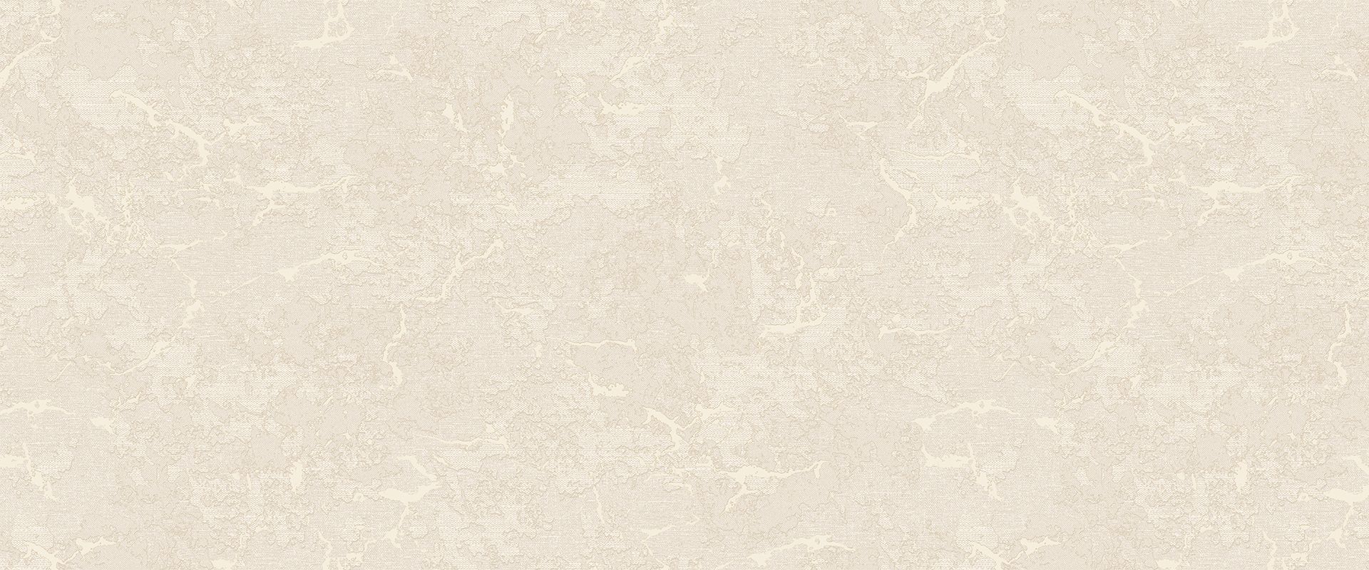 Victoria Stenova 889202 Фон ORLANDO 889202 - Вид №5