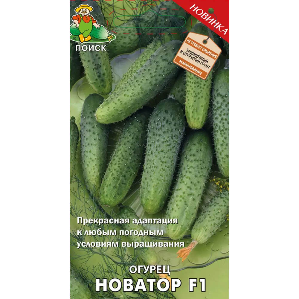 Семена огурца «Новатор» F1 от ПОИСК - партенокарпический гибрид для теплиц 83227472 STLM-0039581