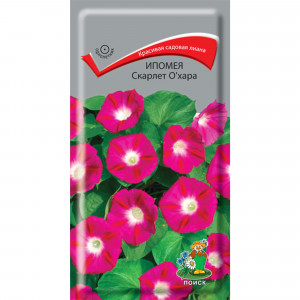 83227383 Семена Ипомея «Скарлетт О Хара»