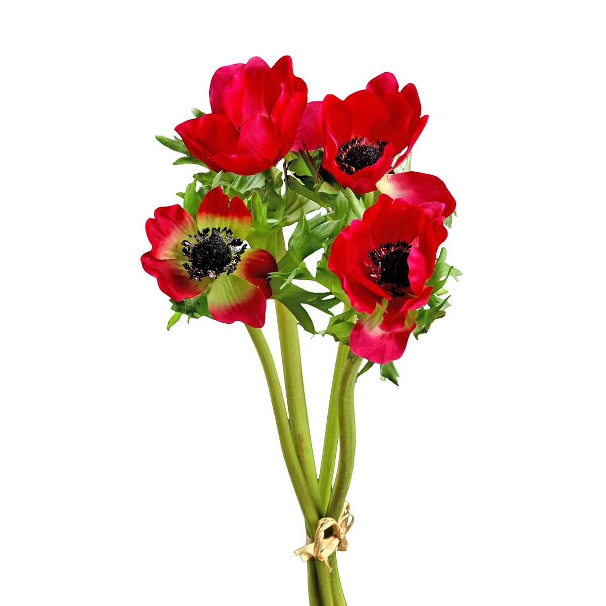 210049-40 ABHIKA ПУЧКА АНЕМОНОВ X4 RED  - Вид №1