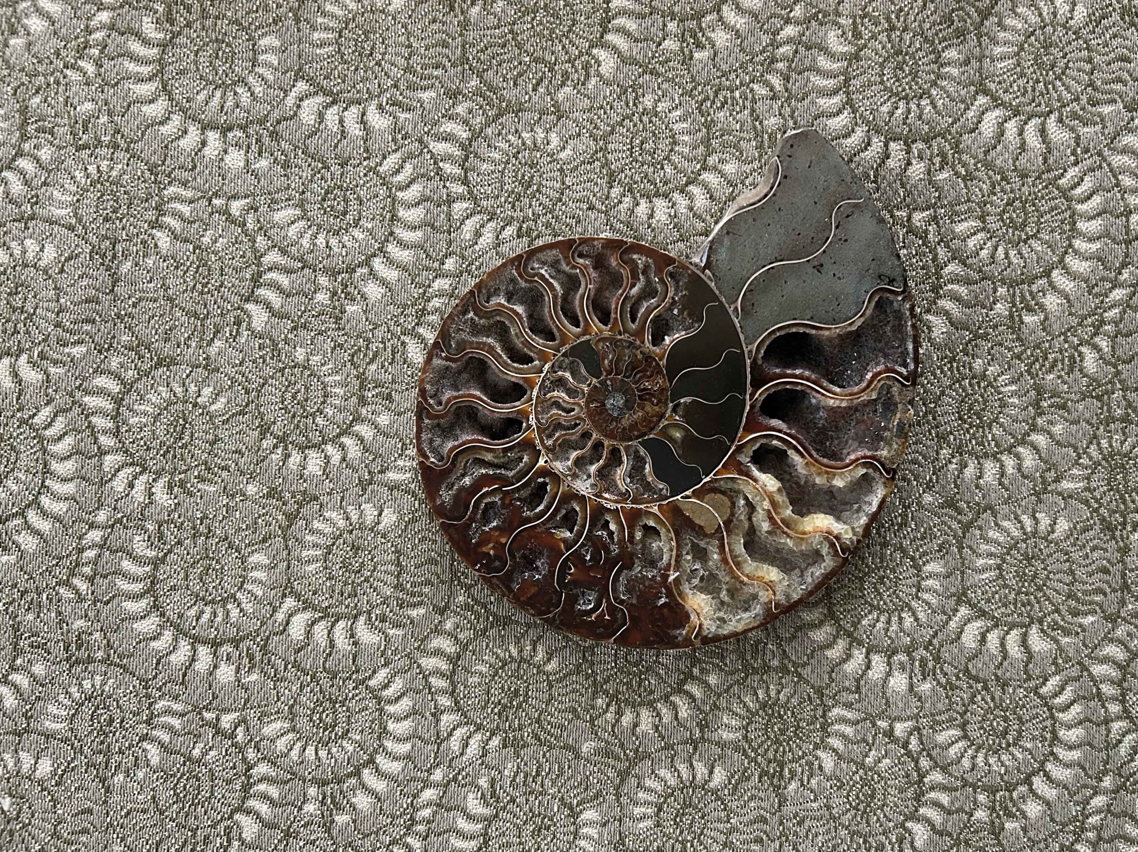 Хлопчатобумажная и полиамидная Жаккардовая ткань LELIEVRE Métamorphose ARCH-00122717 - Вид №6