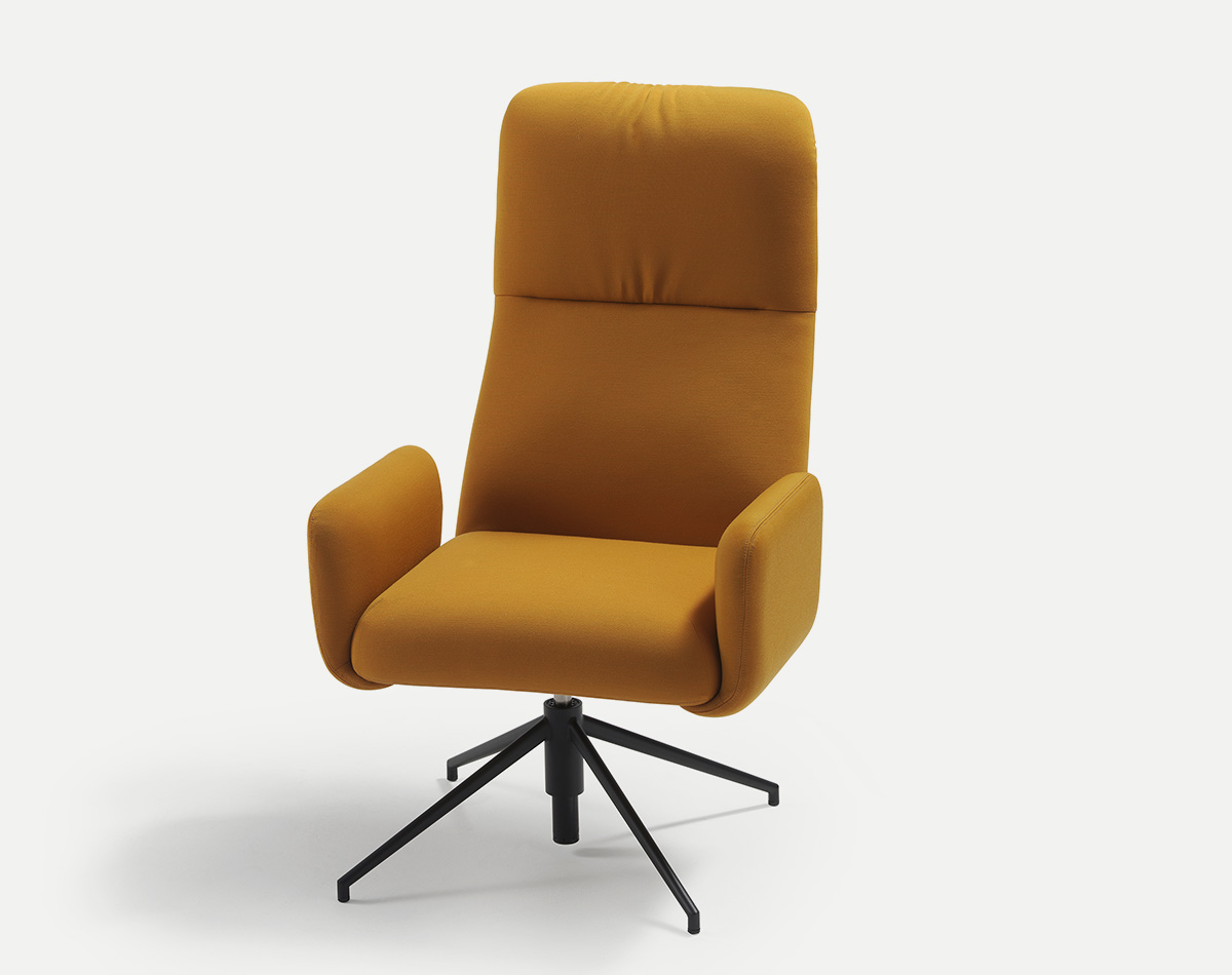 095228 Поворотное кресло 348.65.4 SANCAL Elle