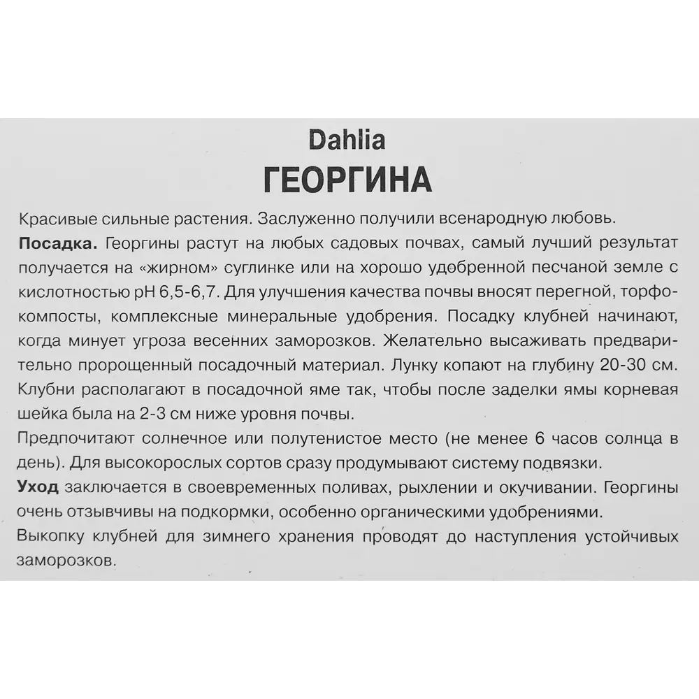 Георгина бахромчатая Амбишн 86409977 STLM-2022554 ПОИСК  - Вид №2