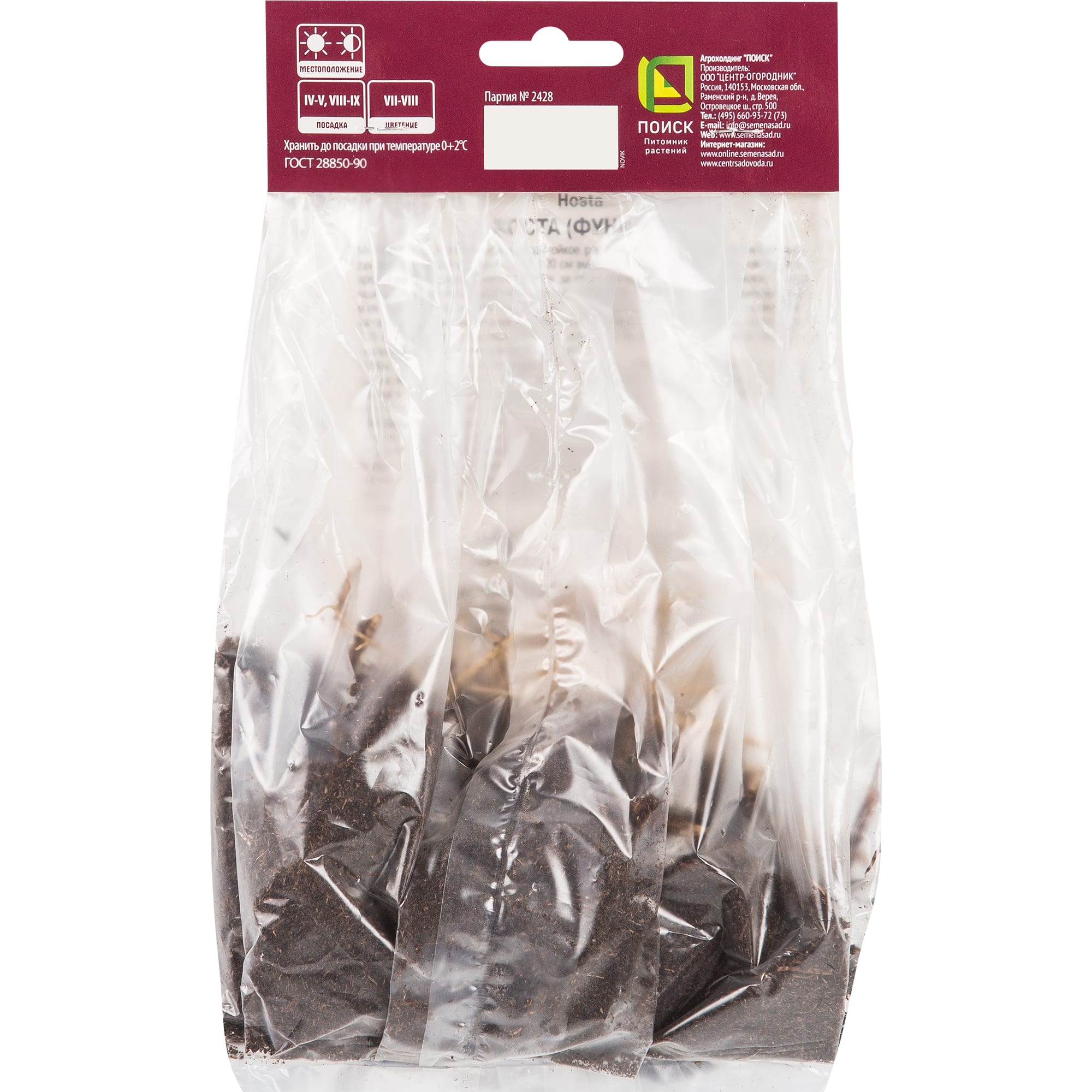 82319600 Хоста гибридная «Стинг», размер луковицы I Santreyd  - Вид №1