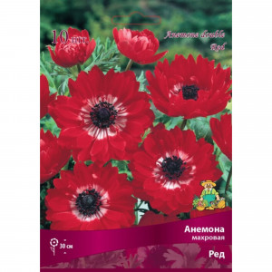 83593863 Анемона махровая Ред луковица 5/6