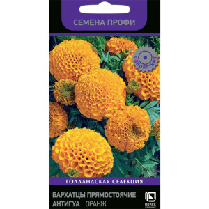 Бархатцы Антигуа Оранж от ПОИСК - 15 семян для солнечного сада 83577547