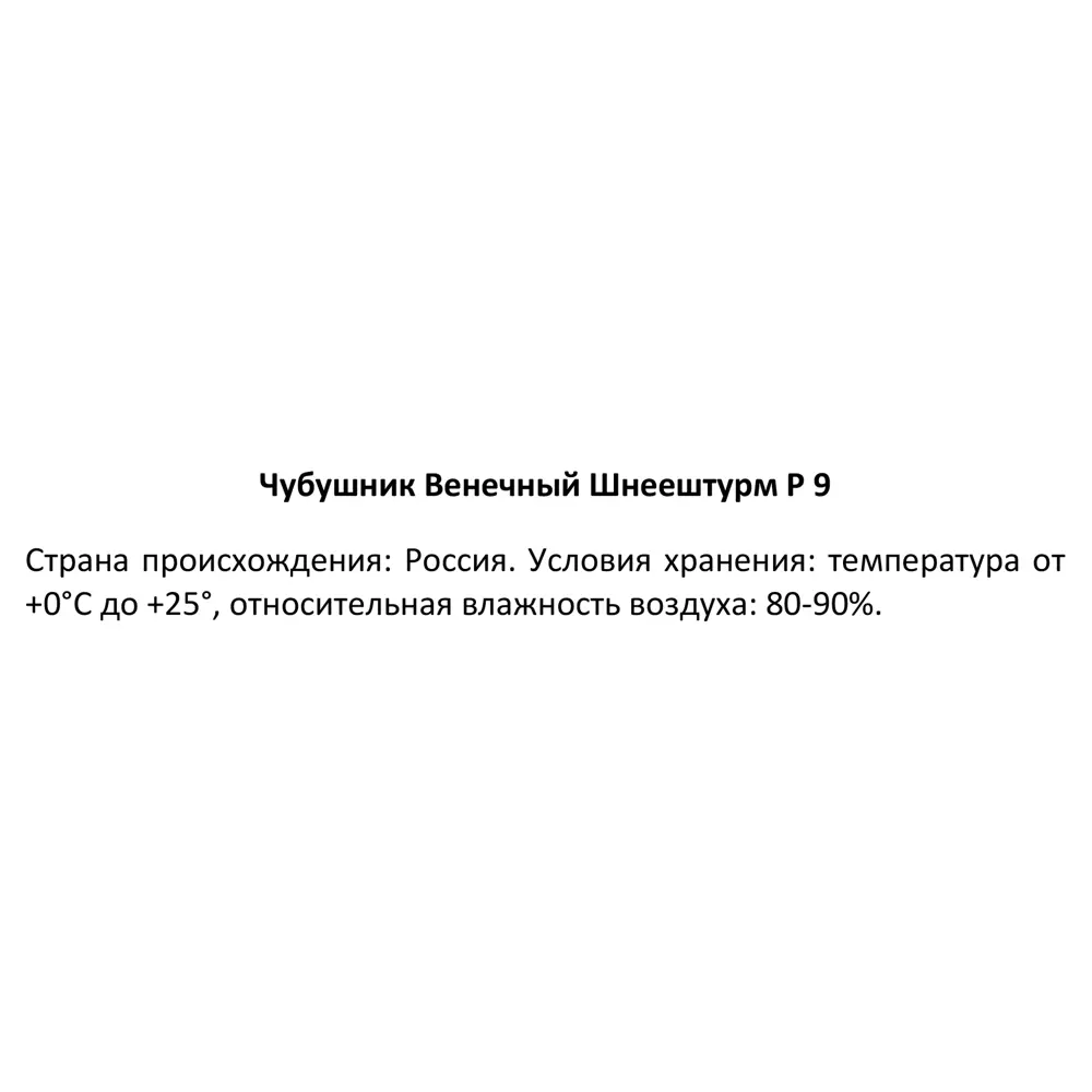 Чубушник венечный Шнеештурм ø9 h30 см 89364987 STLM-2064526 Santreyd  - Вид №3
