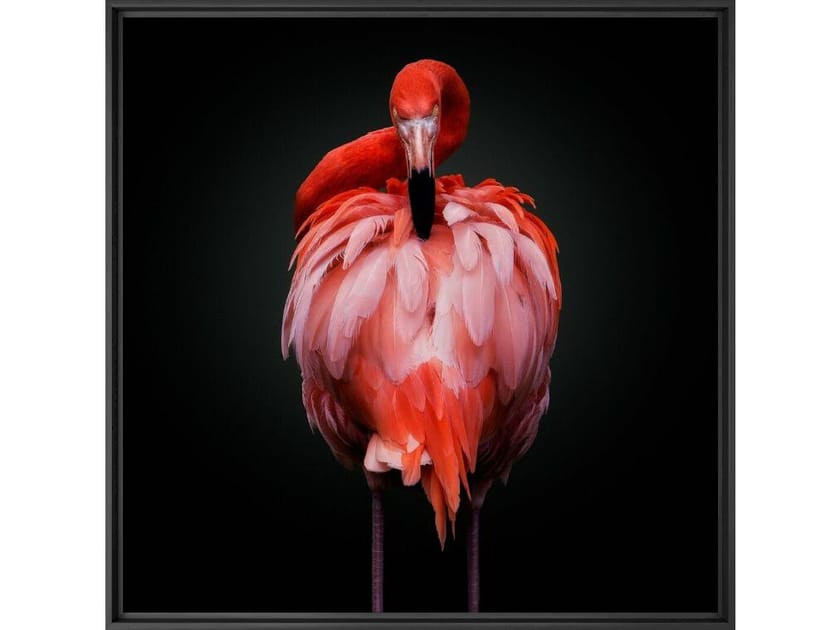 Печать фотографий на бумаге YellowKorner животное ARCH-00130276