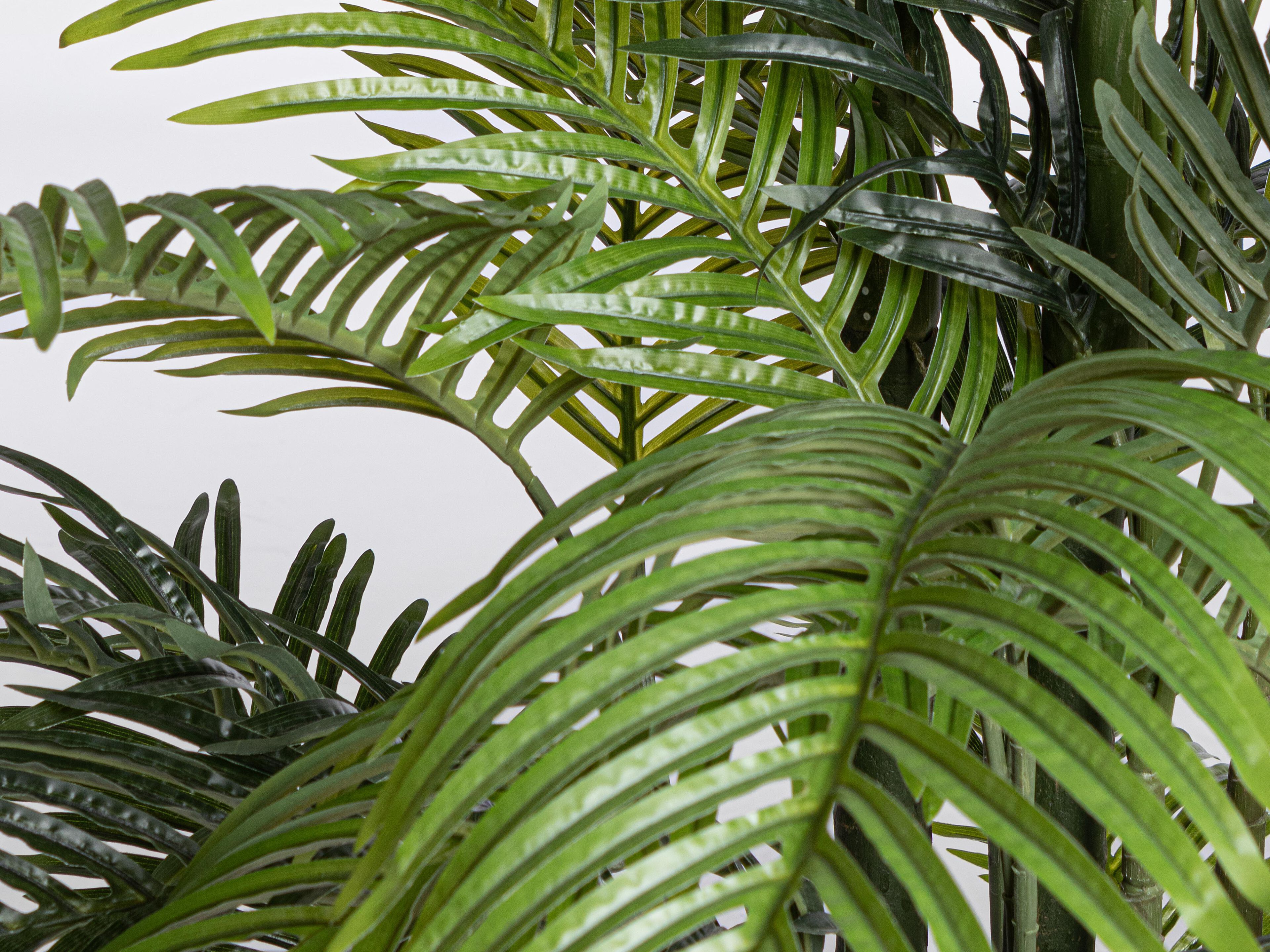 Искусственное растение BIZZOTTO KENZIA H210 ARCH-00033349 - Вид №1