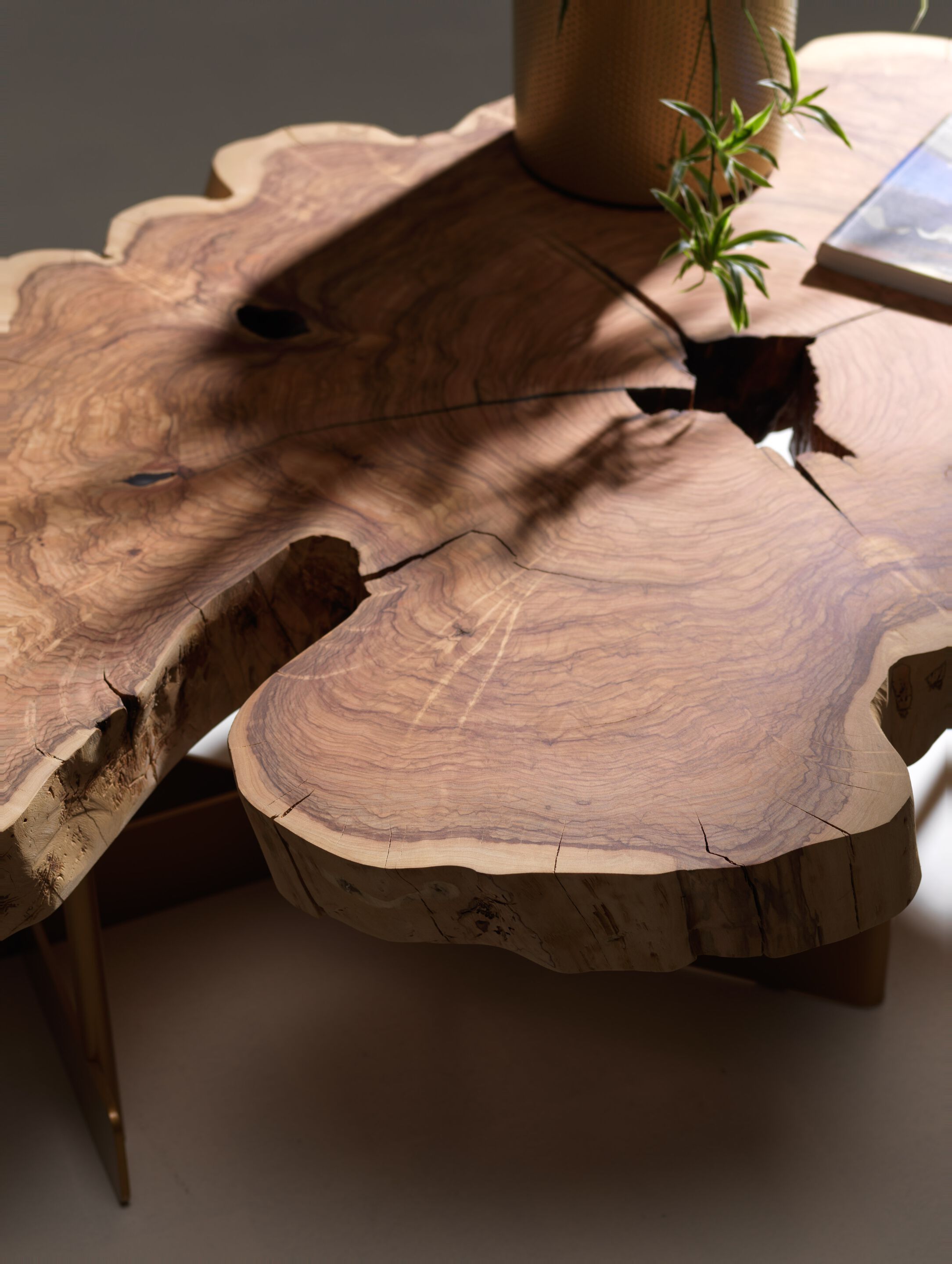 Журнальный столик из оливкового дерева Tabula кофейный столик ARCH-00097584 - Вид №2