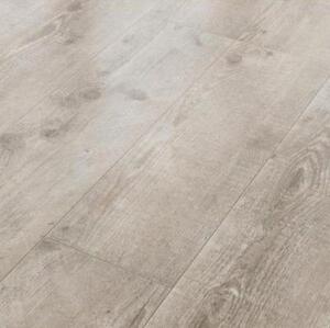 Ламинат Classen Сосна Бордо