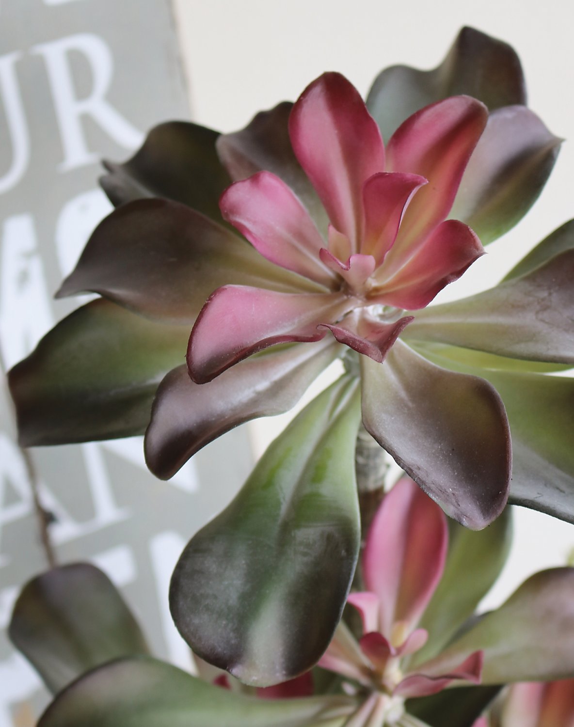 6047 849 a3 Искусственный суккулент, горшок, 38 см, зелено-бордовый H-andreas  - Вид №1