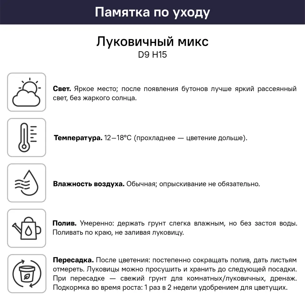 Луковичный микс ø9 h15 см 89453255 STLM-2129892 Santreyd  - Вид №4