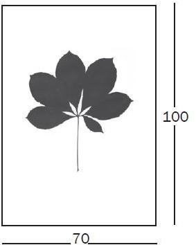 Magis Шериграфия sun-id-1354335 - Вид №1