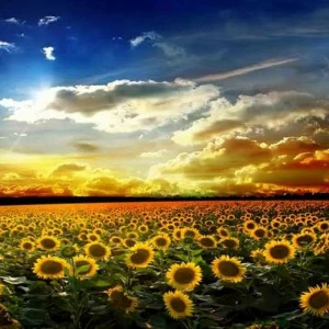 WP02108 Фотообои Verol Фотообои decoline 1х1 м