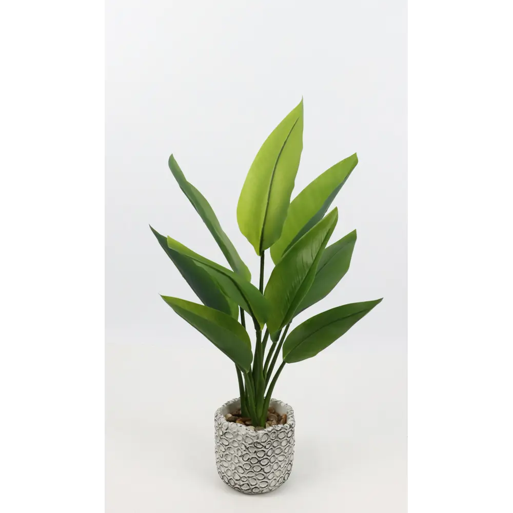 Искусственное растение Стрелиция 10x17x50 см ПВХ зеленое 89376394 STLM-2112784 Santreyd 