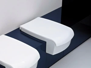 Ceramica Flaminia Una  Una/wc