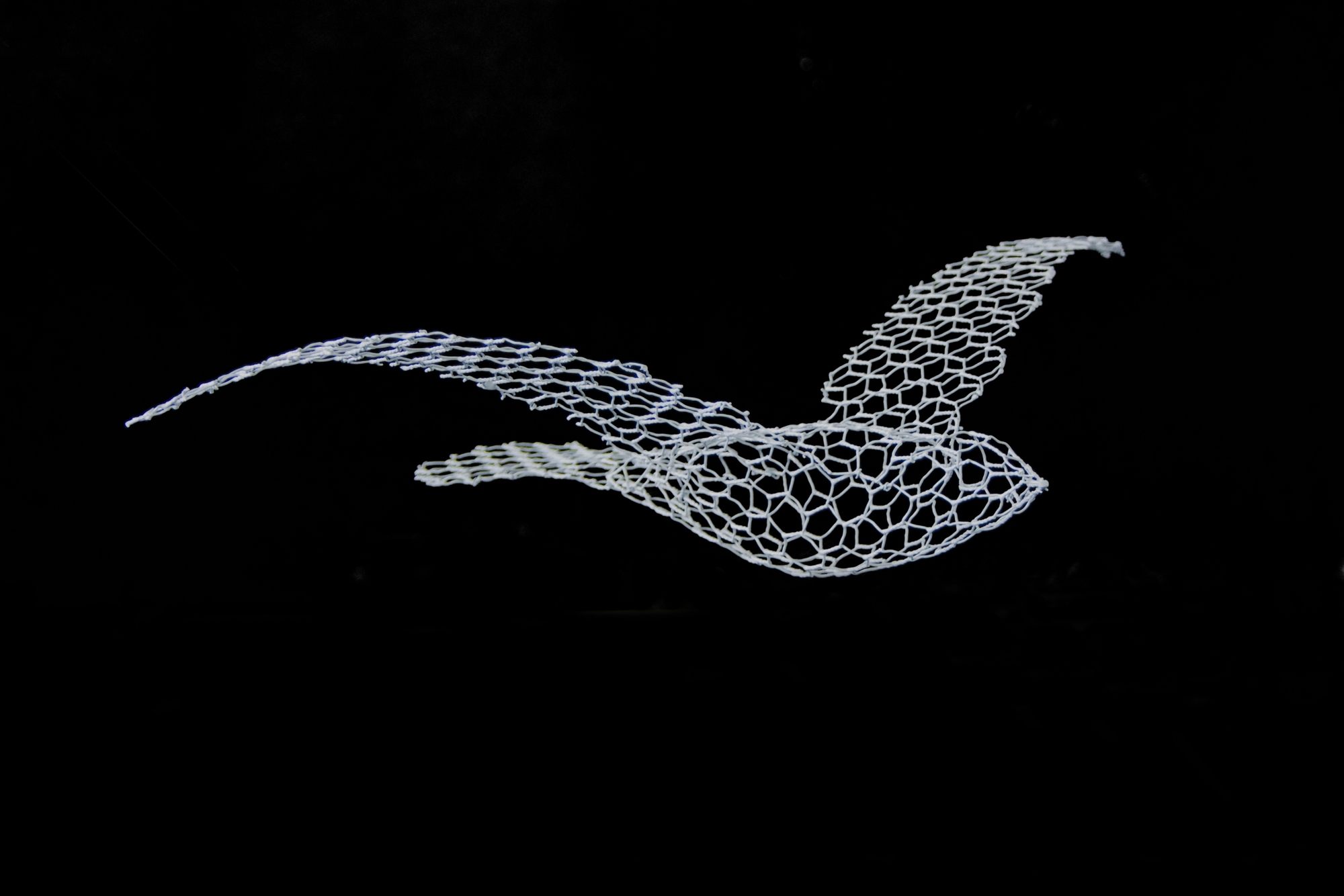 Птицы и облака Magis sun-id-1328973 - Вид №1