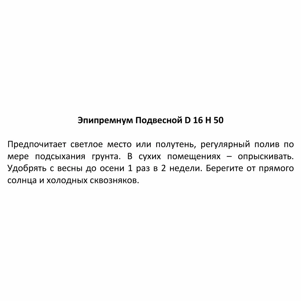 Эпипремнум ø16 h50 см 85394476 STLM-2122560 Santreyd  - Вид №2