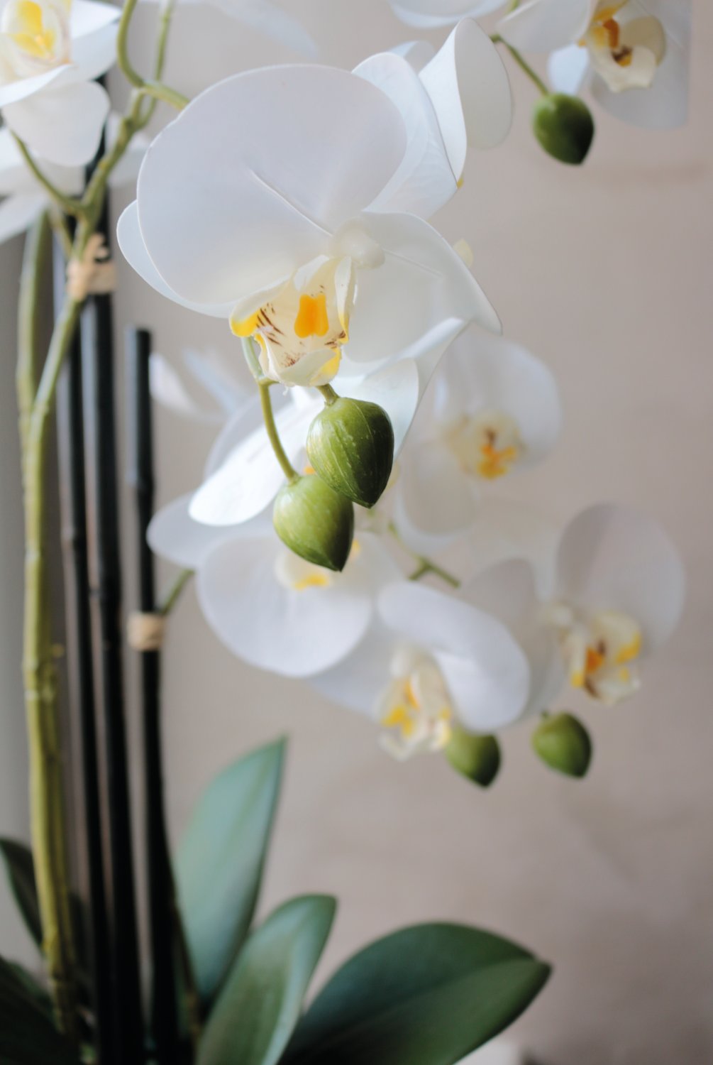 2778 778 a3 Пластиковая орхидея Phalaenopsis, 3-х кратная, горшечная, 55 см, real touch, бежево-белая H-andreas  - Вид №9