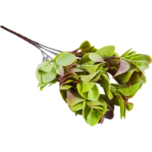 88455008 Искусственное растение Букет Кротон 33x18 см пластик цвет зеленый STLM-0829470