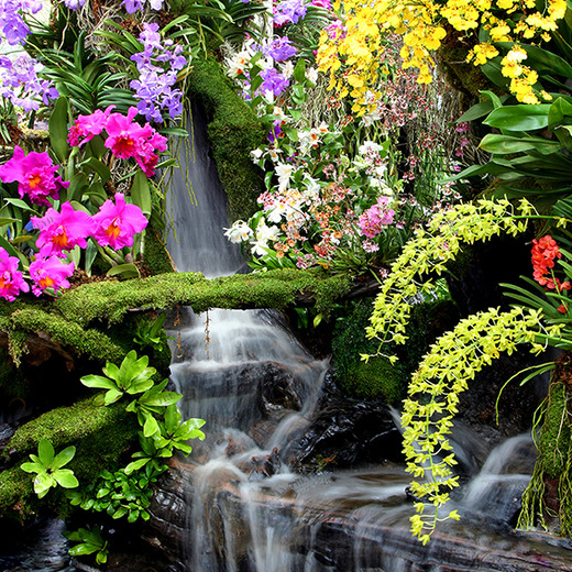 D1-084 Фотообои DIVINO Collection D 2.7х2 м D1084