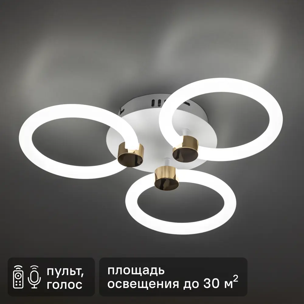 RITTER Ottimo - умная светодиодная люстра с голосовым управлением 88333111 STLM-1403134