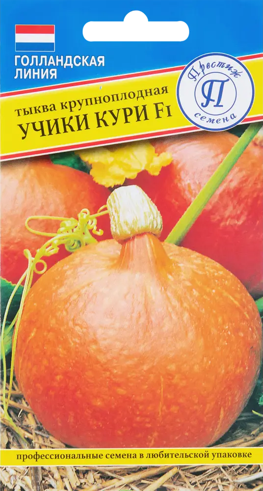 ПРЕСТИЖ СЕМЕНА Тыква «Учики Кури» - голландский сорт для богатого урожая 83227216