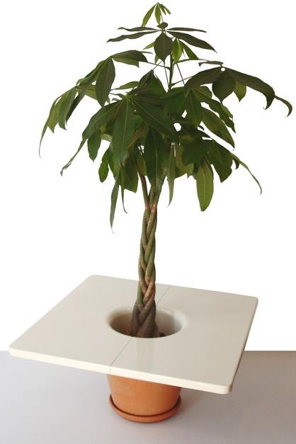 Compagnie Ваза в мдф Mobilier cultivé sun-id-1392494 - Вид №3