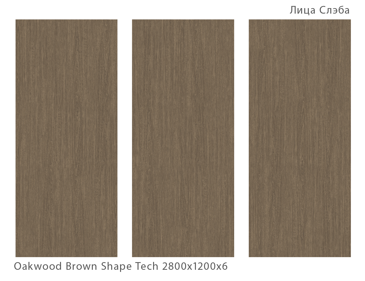 STAROSLABS MATT OAKWOOD BROWN — Элегантность в каждом сантиметре STP-ST346 INCOLOR - Вид №1