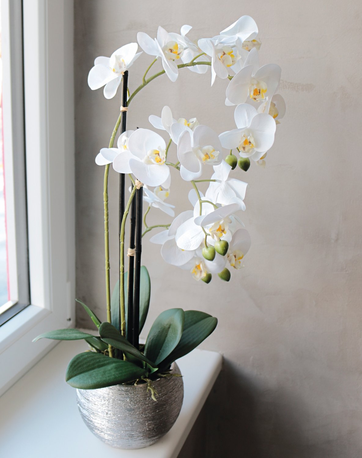 2778 778 a3 Пластиковая орхидея Phalaenopsis, 3-х кратная, горшечная, 55 см, real touch, бежево-белая H-andreas  - Вид №6