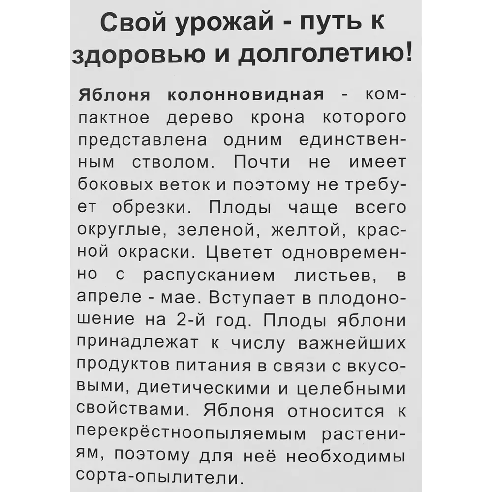 Яблоня колонновидная Триумф в тубе Поиск Инвест 82529111 STLM-2162564 Santreyd  - Вид №3