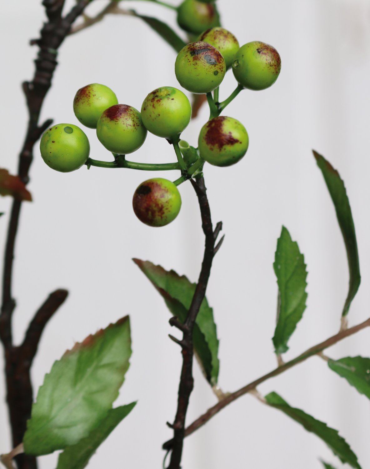 1552 883 a3 Спрей шелк ягодный, 106 см, зеленый H-andreas 