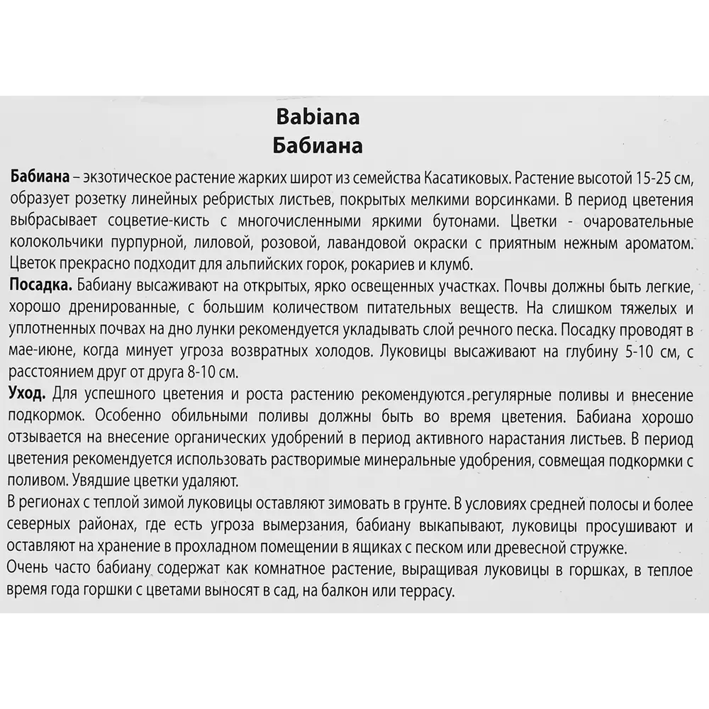 Бабиана прямая смесь окрасок, 10 шт ПОИСК STLM-2088661 - Вид №2