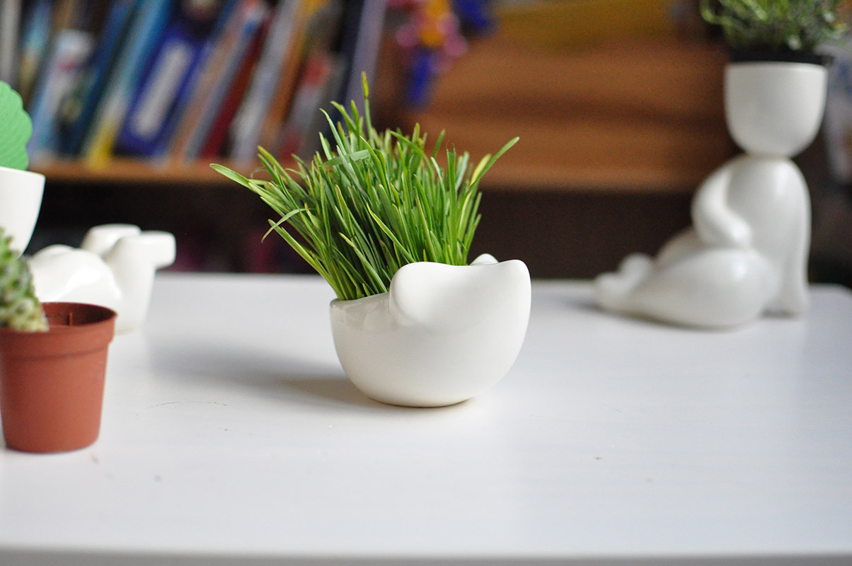 Набор для выращивания eco "Ёжик" ЭКОЧЕЛОВЕКИ  254569 Белый  - Вид №4