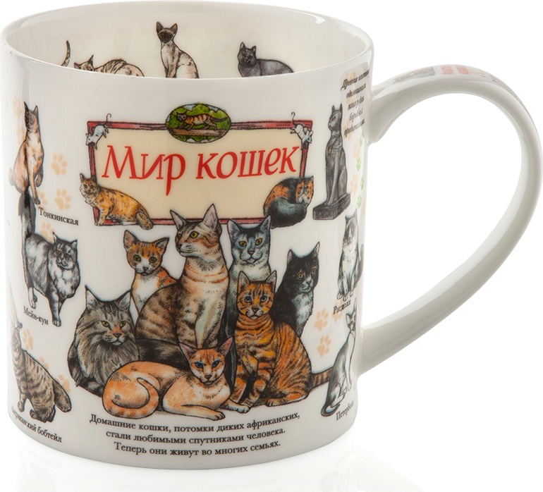 10618179 Dunoon Кружка Dunoon "Мир кошек.Оркни" 350мл Фарфор костяной 