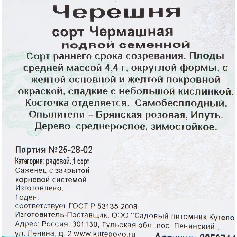 Черешня «Чермашная» C4 высота 140 см 82597149 STLM-2116201 Santreyd  - Вид №1