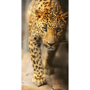 Фотообои «Леопард», флизелиновые, 130x250 см, E515030 82283331 STLM-2139286