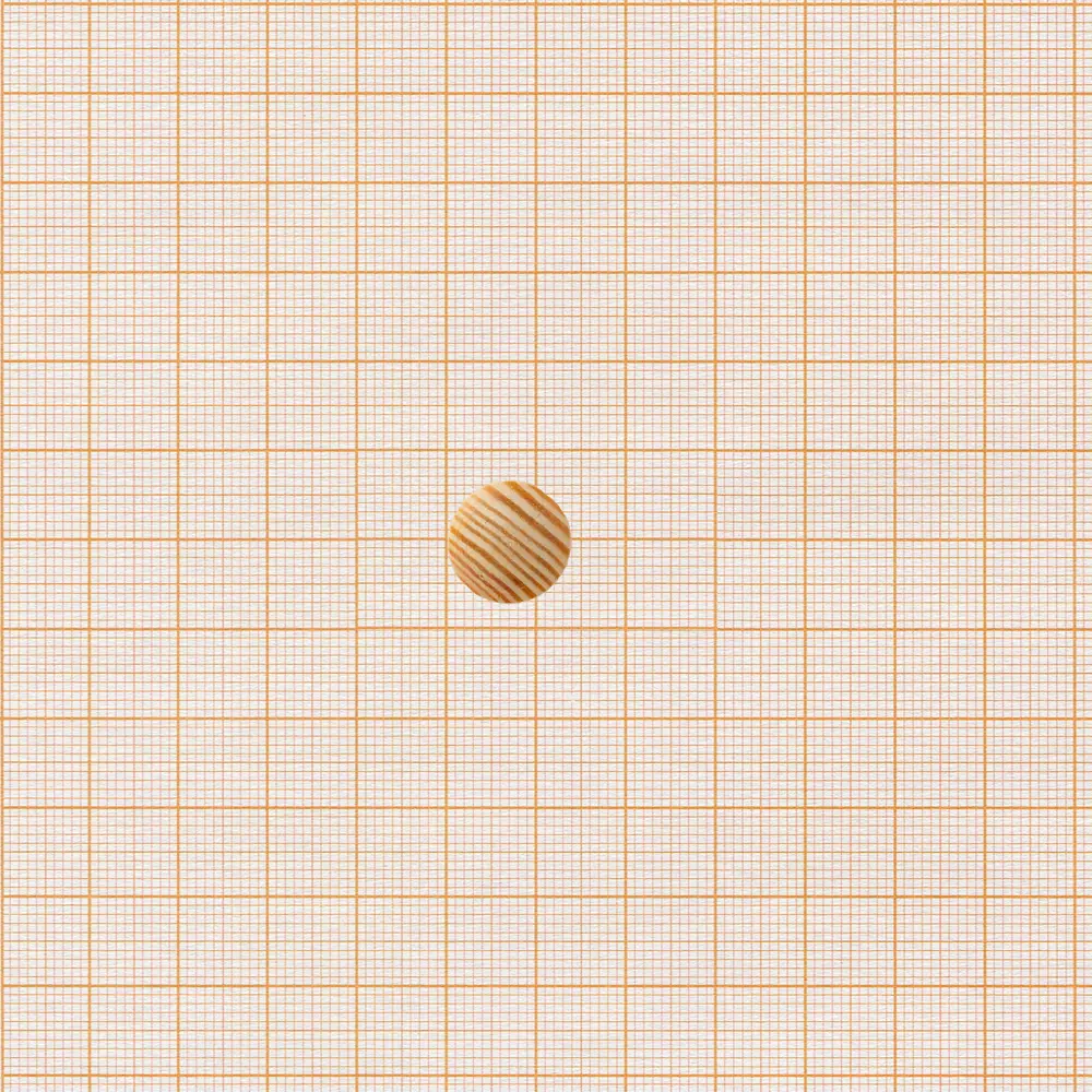 Заглушка мебельная Европартнер ø14 мм для скрытия монтажных отверстий 89395564 STLM-1448240 - Вид №2