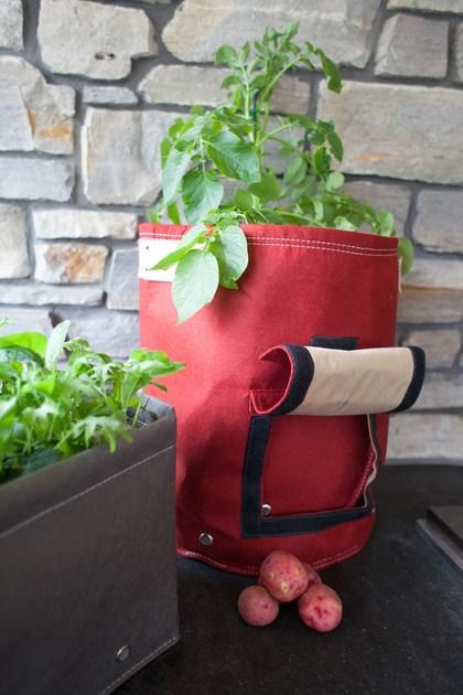 Onek чашка Bloembagz sun-id-1484376 - Вид №3