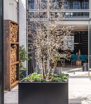 T12-BP Аксессуары vola  - Вид №24