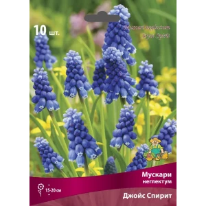 Мускари Джойс Спирит, 10 шт. 88659241 STLM-2160799