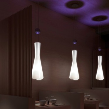 004421 Люстра Shi Leds C4 