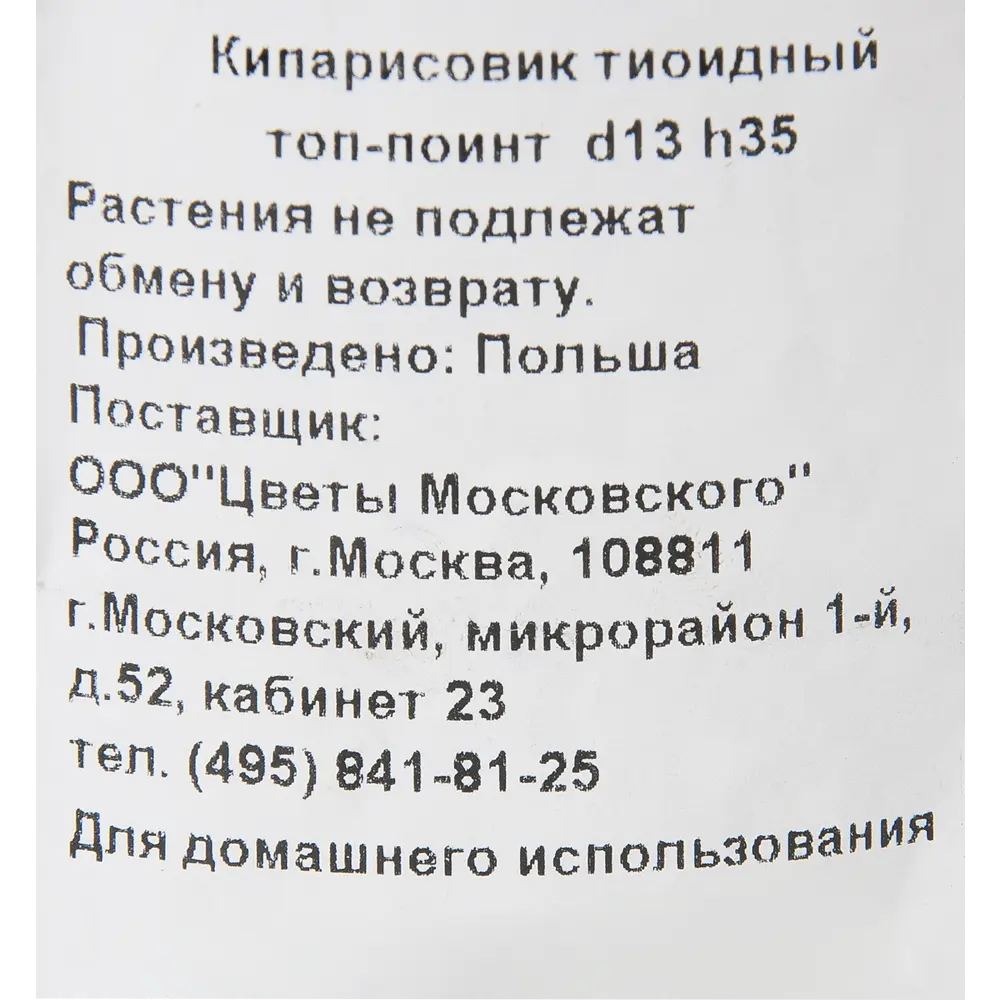 Кипарисовик тиоидный «Топ Пойнт» 1 л h35 см 82219022 STLM-2052807 Santreyd  - Вид №1