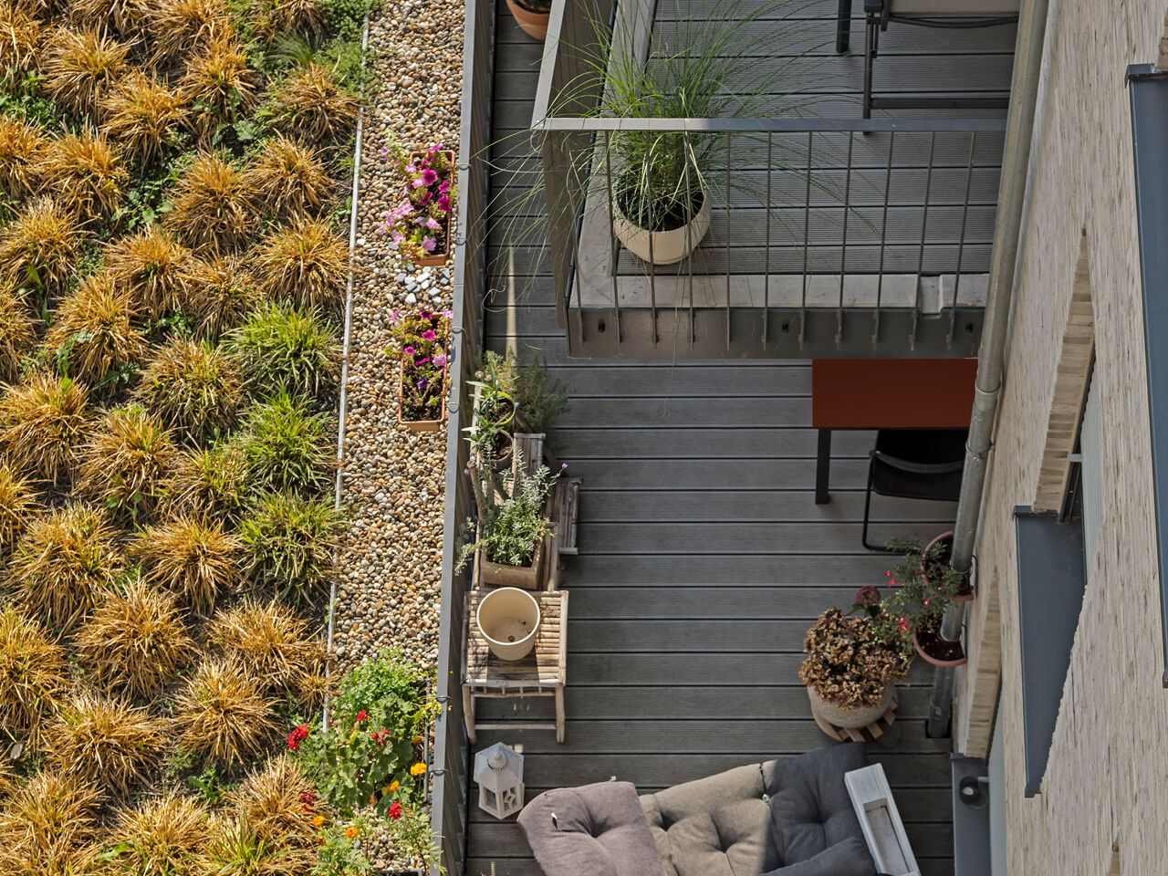 Decking in WPC NATURinFORM COMPACT ARCH-00072212 - Вид №3