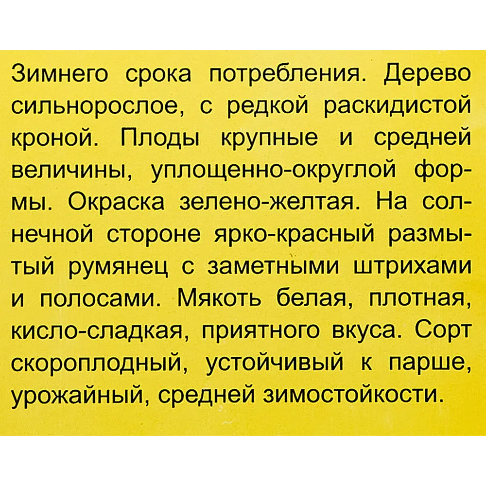 Яблоня Богатырь пакет h50 см 89353481 STLM-2054080 Santreyd  - Вид №3