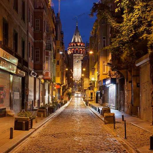 L-114 Фотообои DIVINO L&P 2х2.7 м L114