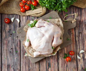 5331 Цыпленок Вкусляндия