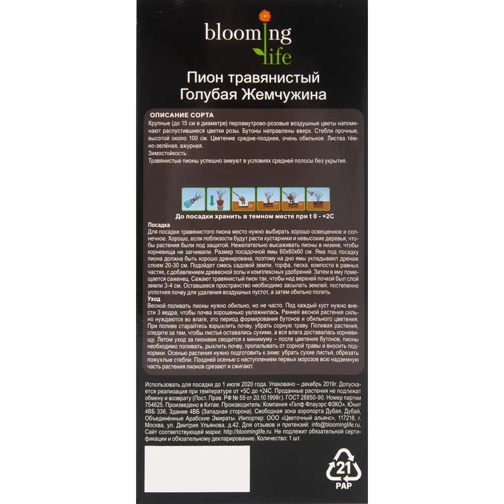 Пион травянистый Голубая жемчужина в тубе 82539508 STLM-2033554 BLOOMING LIFE  - Вид №3